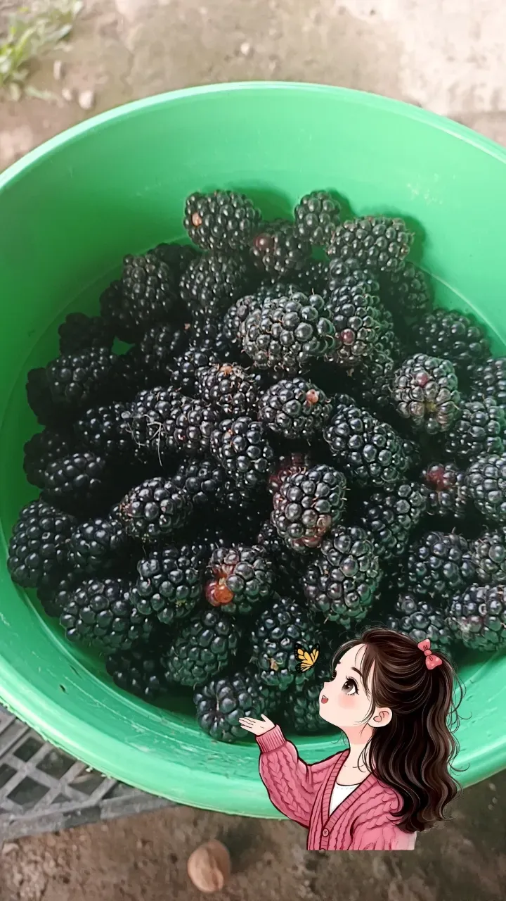 Эжемалина