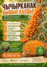 Чычырканак 1