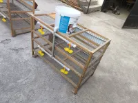 Клетка 2