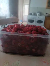Малина 1