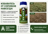 Аватар 2