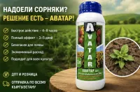 Аватар 1
