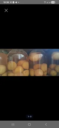 Компот из персиков 1