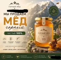 Горные и домашние чистый МЁД 2