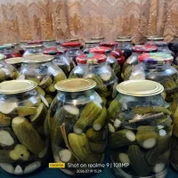 Соленое огурцы 2
