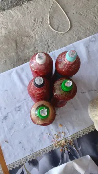 Малина 2