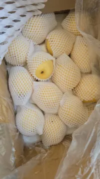 Ситурус 3