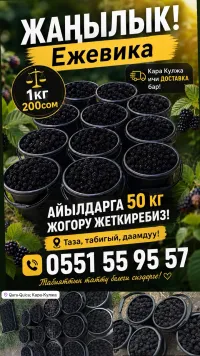 Ежевика 1