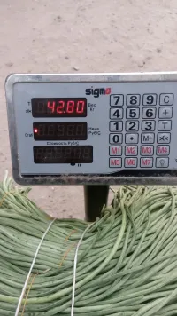 Жандоо 1