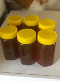 Токтогулдун тоо балы 2