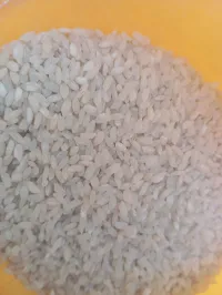 Аланга гуруч 1