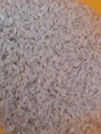 Аланга гуруч 3