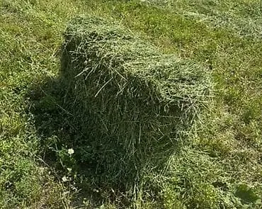 Чоп пресс