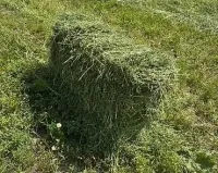 Чоп пресс 1