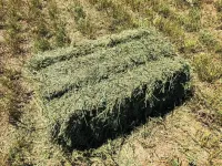 Чоп пресс 4