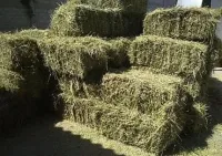 Чоп пресс 3
