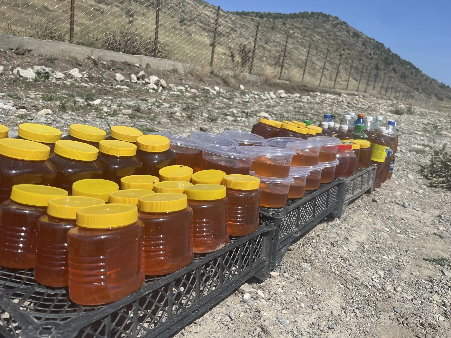 🍯 ТАЗА ТОО БАЛЫ 🐝  Тоо гүлдөрүнөн чогултулган, табигый жана сапаттуу таза бал! 🌿 Даамы өзгөчө, жыты аңкыган — үй-бүлөңүз үчүн пайдалуу жана таттуу тандоо. ❤️
