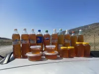 🍯 ТАЗА ТОО БАЛЫ 🐝  Тоо гүлдөрүнөн чогултулган, табигый жана сапаттуу таза бал! 🌿 Даамы өзгөчө, жыты аңкыган — үй-бүлөңүз үчүн пайдалуу жана таттуу тандоо. ❤️ 4