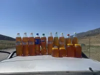 🍯 ТАЗА ТОО БАЛЫ 🐝  Тоо гүлдөрүнөн чогултулган, табигый жана сапаттуу таза бал! 🌿 Даамы өзгөчө, жыты аңкыган — үй-бүлөңүз үчүн пайдалуу жана таттуу тандоо. ❤️ 2
