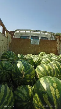 Дарбыз сатылат тап таза 100%% 1