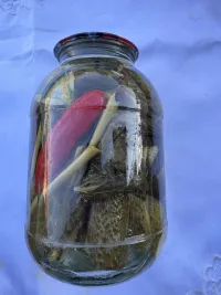 Соленный огурцы 2