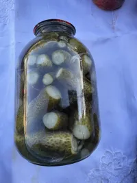 Соленный огурцы 1