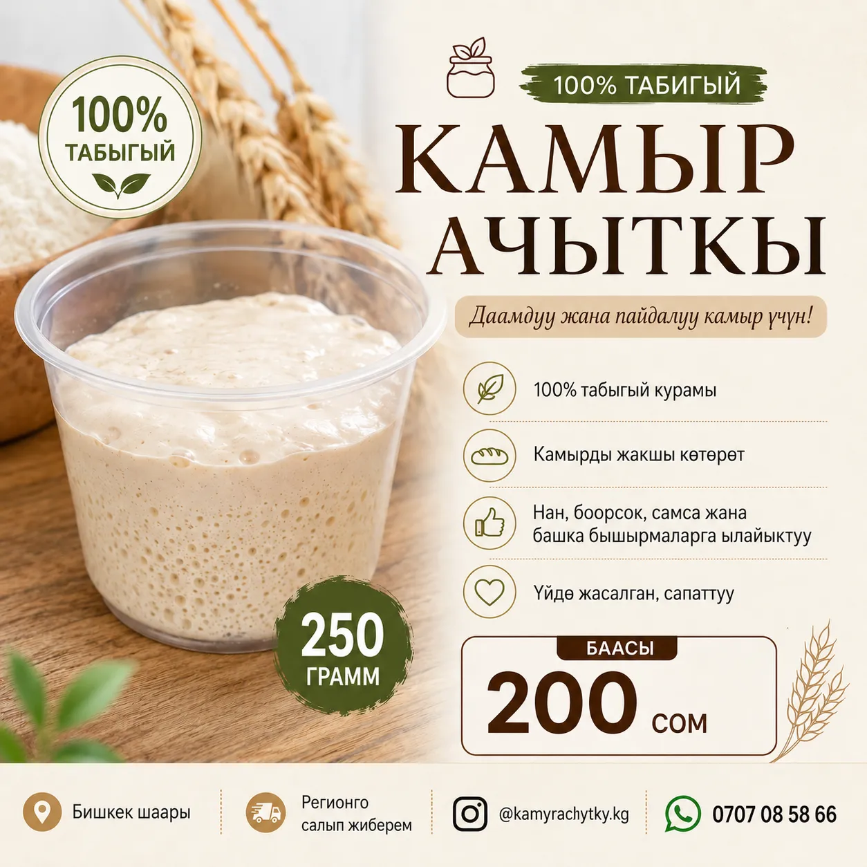 Нукура камыр ачыткы