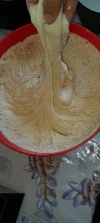 Нукура камыр ачыткы 2