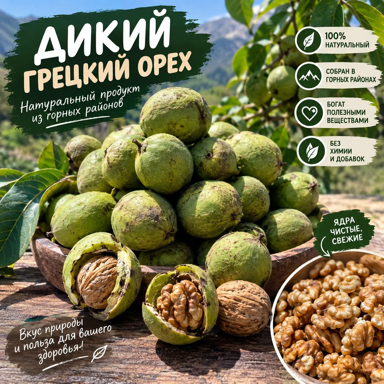 Горный грецкий орех