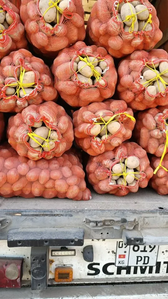 Картошка