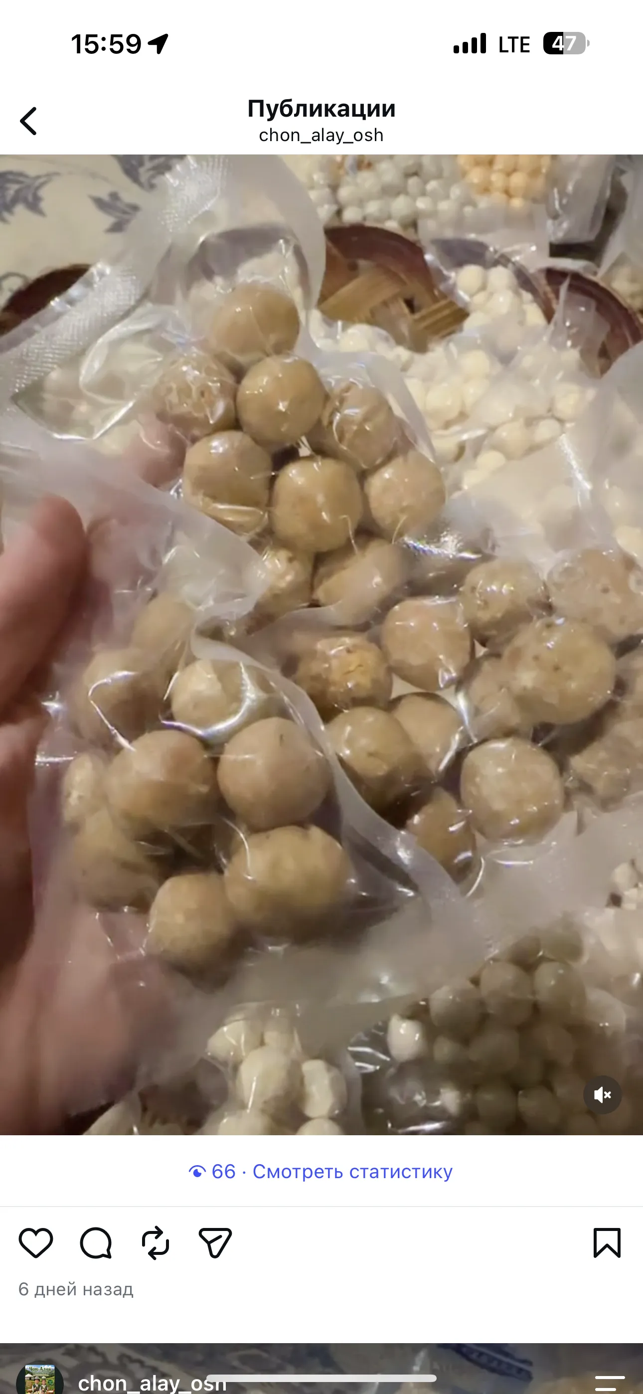 Даамдуу курут