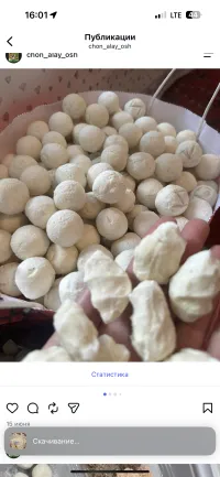 Даамдуу курут 2