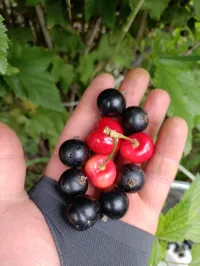 Карагат 2