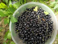 Карагат 3