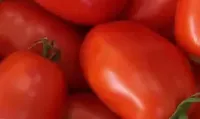 Помидор сатылат 1